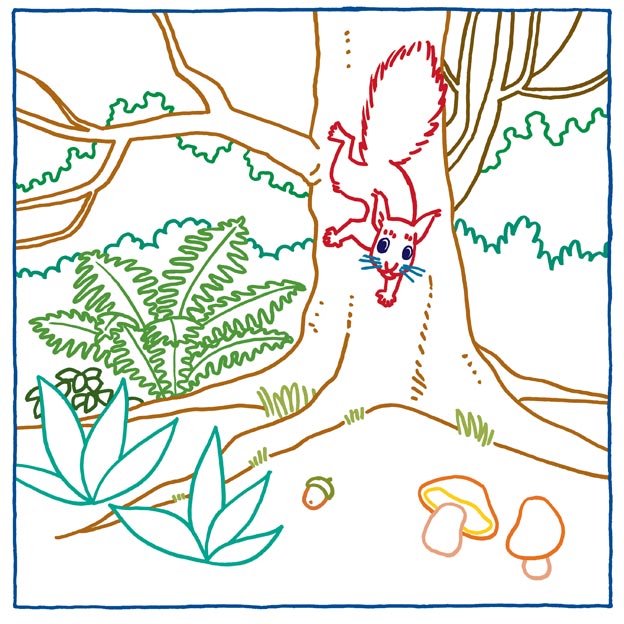 Eichhörnchen am Baum Zauberpapier Beispielseite