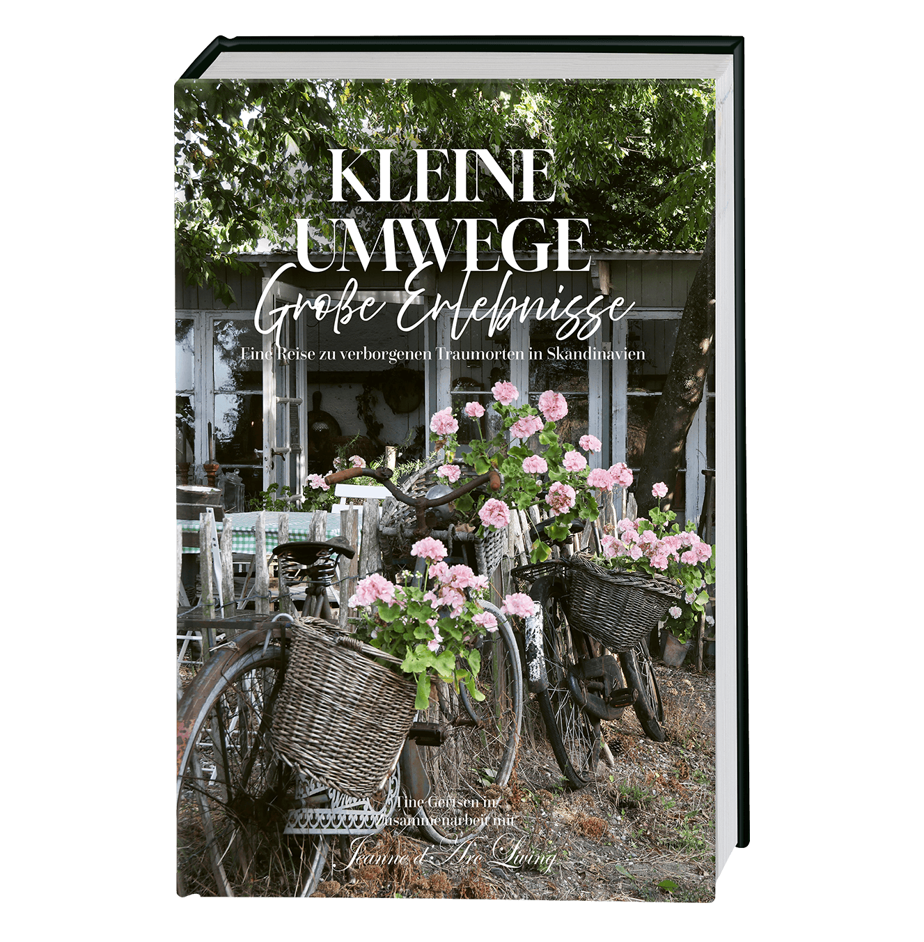 Kleine Umwege, große Erlebnisse. Eine Reise zu verborgenen Traumorten in Skandinavien.