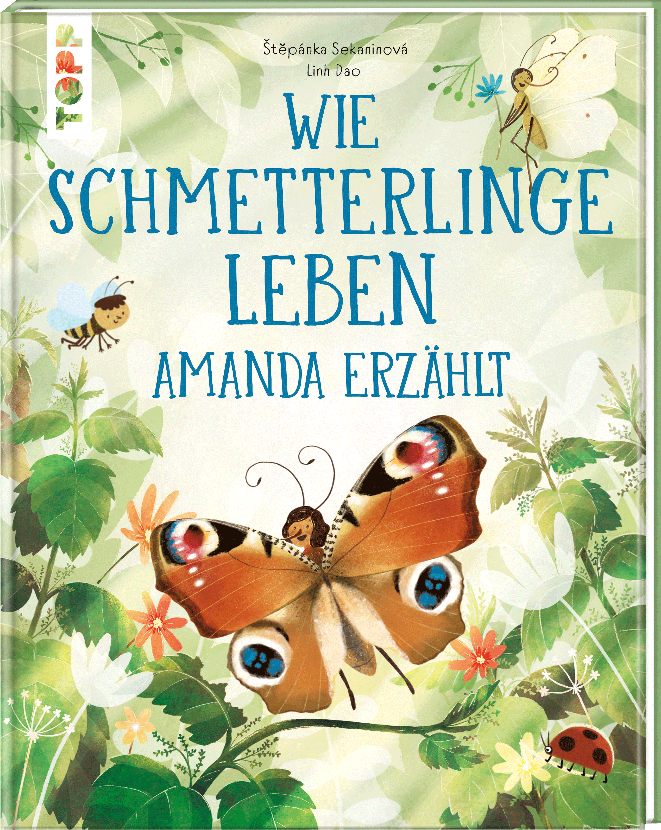 Wie Schmetterlinge leben. Amanda erzählt.