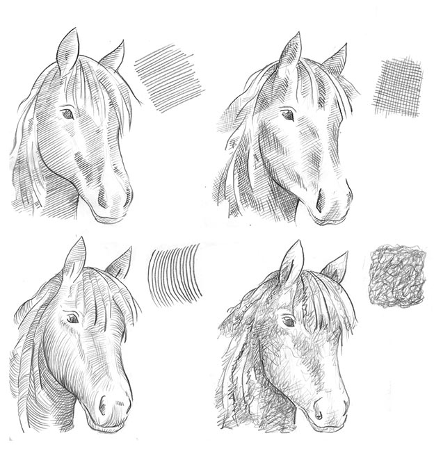 Anleitung für verschiedene Schraffuren um Pferdekopf zu zeichnen