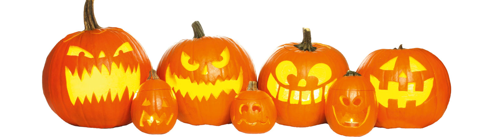 Gaeste_Feste_Halloween_4241