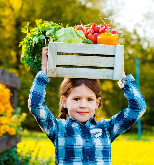 Kind hält Holzkiste mit Gemüse