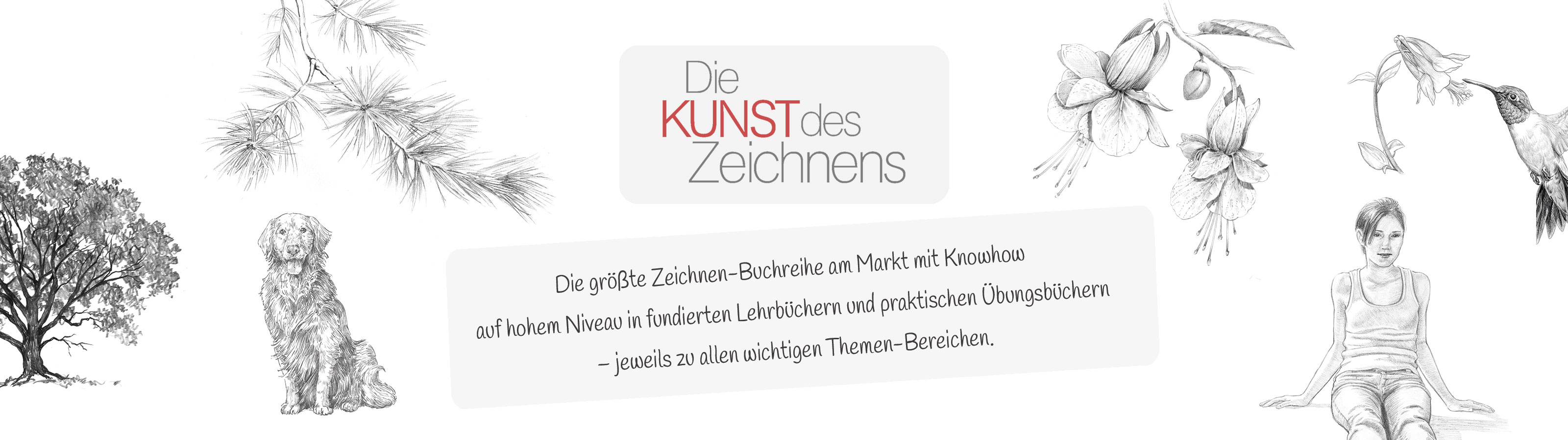 Banner_Die-Kunst-des_Zeichnens