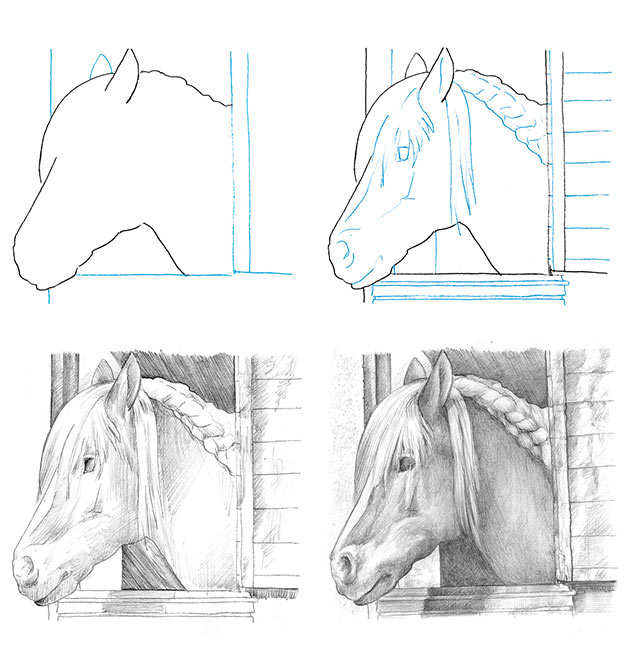 Anleitung für Pferdekopf zeichnen einfach