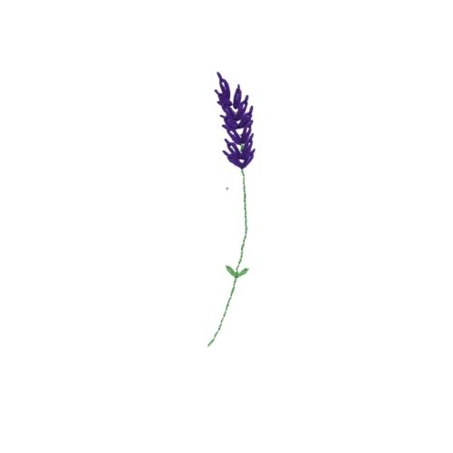 . Anleitung Lavendel