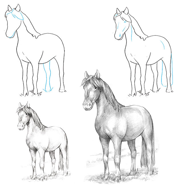 Anleitung für Pferd zeichnen einfach