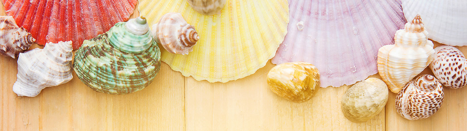 Saison_Sommer_pexels-photo-3589045aeb09f9334ee